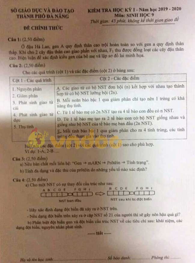 Đề thi học kì 1 lớp 9 môn Sinh học Sở GD&ĐT thành phố Đà Nẵng năm học 2019 - 2020