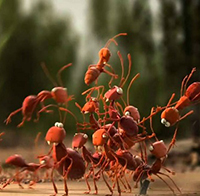 Những câu chuyện về tinh thần đoàn kết của Bác