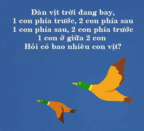 Đố vui có đáp án