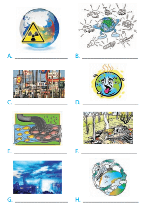 Tiếng Anh 8 Unit 7: Getting started