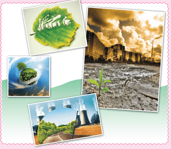 Tiếng Anh 8 Unit 7: Project