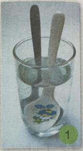 Giải Khoa học lớp 4 VNEN