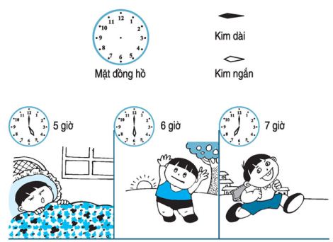Lý thuyết Toán lớp 1: Đồng hồ. Thời gian