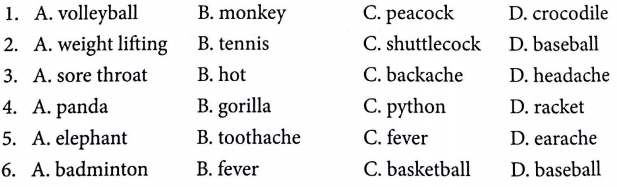 Bài tập từ vựng tiếng Anh lớp 5 Unit 11 What's the matter with you?