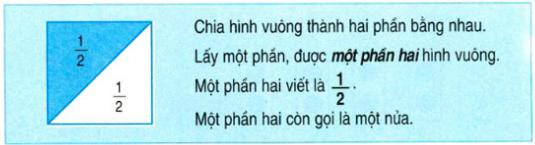 Lý thuyết Toán lớp 2: Một phần hai