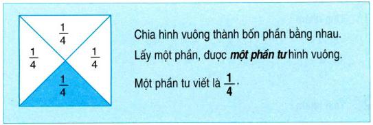 Lý thuyết Toán lớp 2: Một phần tư