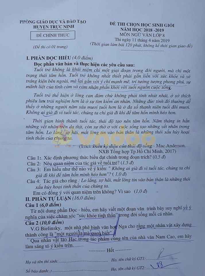 Đề thi học sinh giỏi lớp 8 môn Ngữ văn Phòng GD&ĐT huyện Trực Ninh năm học 2019 - 2020