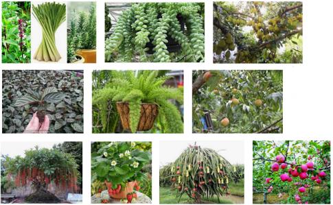 Giải Tiếng việt lớp 4 VNEN: Bài 27A