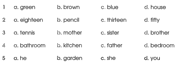 Phiếu bài tập cuối tuần môn Tiếng Anh lớp 3 Tuần 19