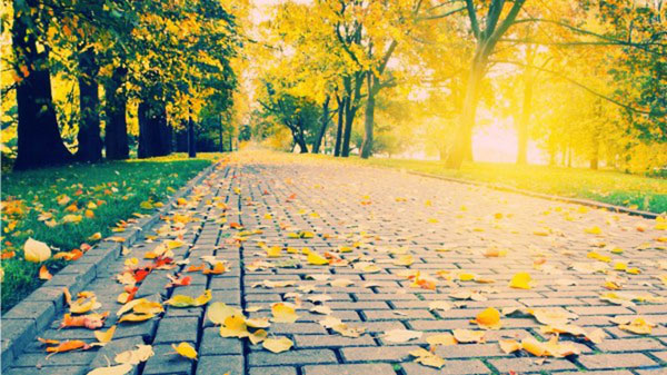 Tả cảnh mùa thu