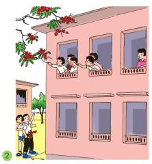 Giải bài tập SGK Tự nhiên và xã hội 2 bài 17