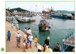 Giải bài tập SGK Tự nhiên và xã hội 2 bài 19