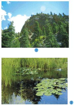 Giải bài tập SGK Tự nhiên và xã hội 2 bài 24