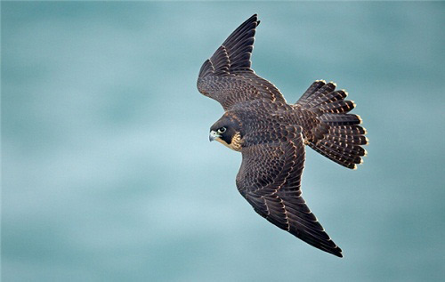 Giải bài tập SGK Tự nhiên và xã hội 2 bài 27