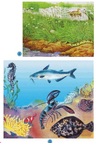 Giải bài tập SGK Tự nhiên và xã hội 2 bài 27