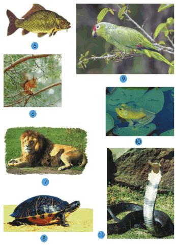 Giải bài tập SGK Tự nhiên và xã hội 2 bài 30