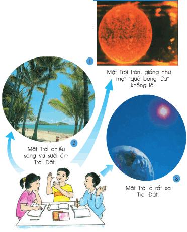 Giải bài tập SGK Tự nhiên và xã hội 2 bài 31