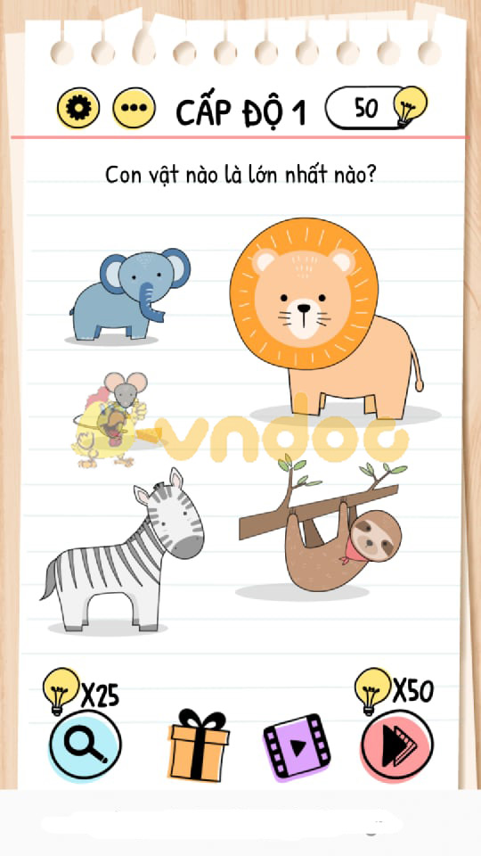 Đáp án Brain Test