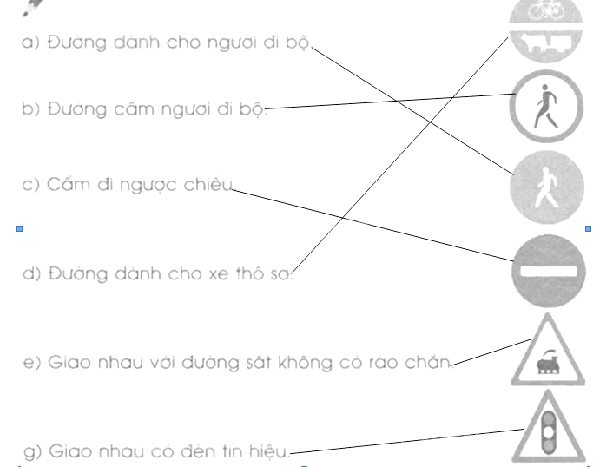 Giải Vở bài tập Tự nhiên và xã hội 2 bài 19