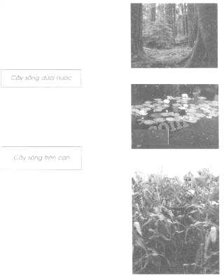 Giải Vở bài tập Tự nhiên và xã hội 2 bài 24 Câu 1