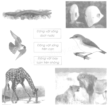 Giải Vở bài tập Tự nhiên và xã hội 2 bài 27