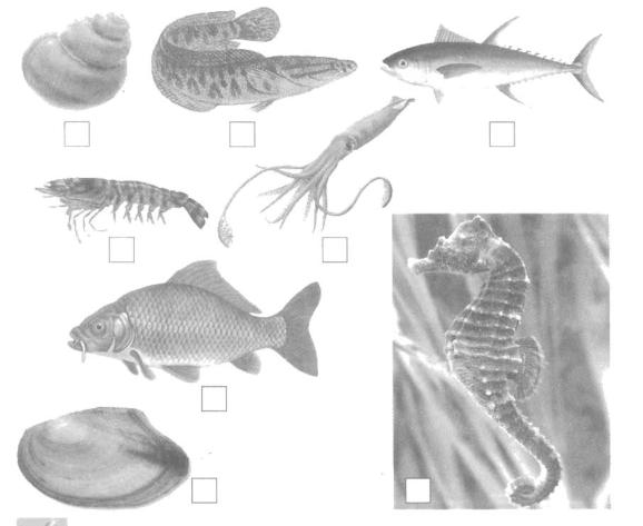 Giải Vở bài tập Tự nhiên và xã hội 2 bài 29