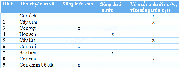 Giải Vở bài tập Tự nhiên và xã hội 2 bài 30