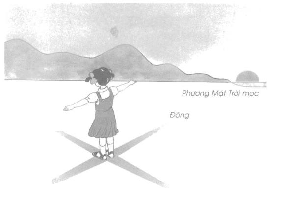 Giải Vở bài tập Tự nhiên và xã hội 2 bài 32