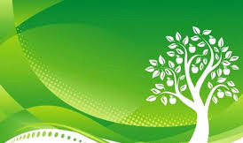 Hưởng ứng đợt thi đua Xây dựng môi trường xanh, sạch, đẹp