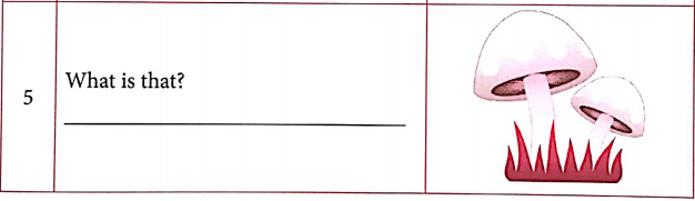 Bài tập ngữ pháp tiếng Anh lớp 4 Unit 13 Would you like some milk?