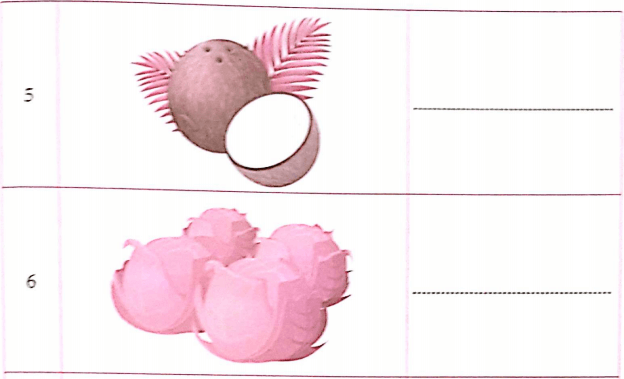 Bài tập từ vựng tiếng Anh lớp 4 Unit 13 Would you like some milk?