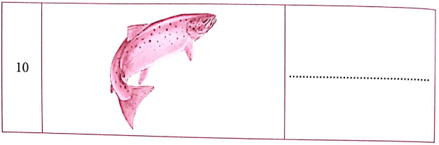 Bài tập từ vựng tiếng Anh lớp 4 Unit 13 Would you like some milk?