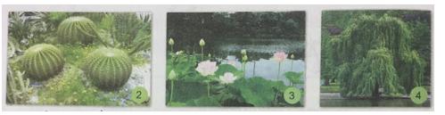 Giải Khoa học lớp 4 VNEN bài 30