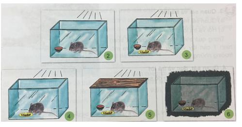 Giải Khoa học lớp 4 VNEN bài 32