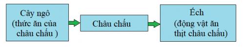 Giải Khoa học lớp 4 VNEN bài 33: Chuỗi thức ăn trong tự nhiên
