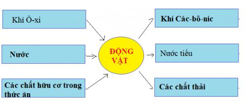 Giải Khoa học lớp 4 VNEN bài: Phiếu kiểm tra 3