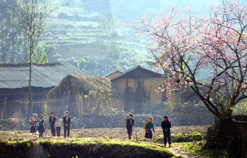 phân tích bài thơ việt bắc