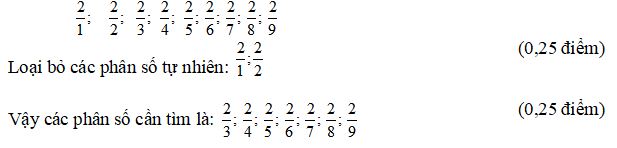 Bộ đề thi HSG môn Toán lớp 4