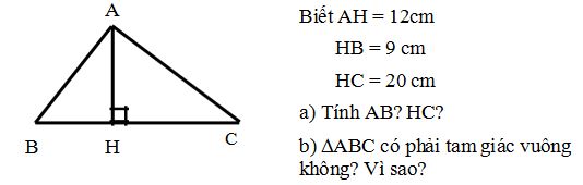 Phiếu bài tập ôn ở nhà môn Toán lớp 7