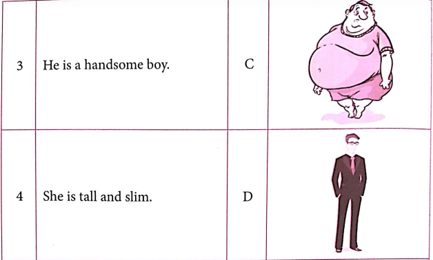 Bài tập ngữ pháp tiếng Anh lớp 4 Unit 14 What does he look like?