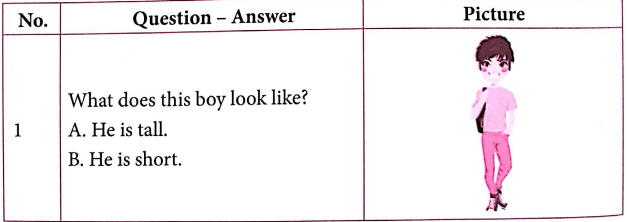 Bài tập ngữ pháp tiếng Anh lớp 4 Unit 14 What does he look like?