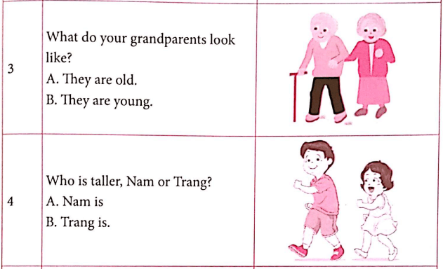 Bài tập ngữ pháp tiếng Anh lớp 4 Unit 14 What does he look like?