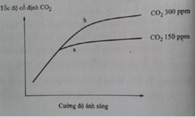 Trắc nghiệm sinh học 11