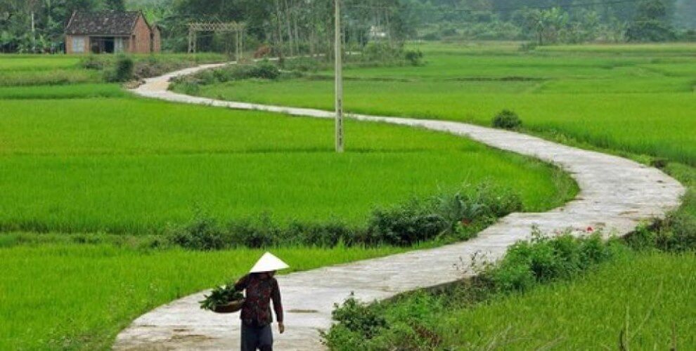 Viết đoạn văn ngắn (khoảng 5 – 7 câu) tả cảnh quê hương trong đó có một vài câu đặc biệt