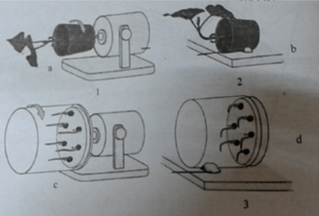 trắc nghiệm sinh học 11