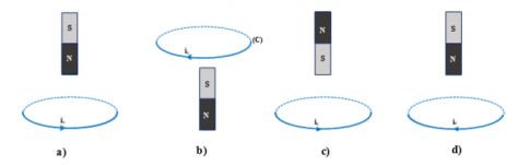 Trắc nghiệm sinh học 11