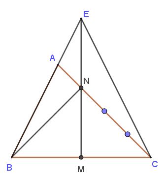 Bài tập tính diện tích hình tam giác lớp 5