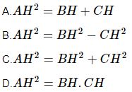 Trắc nghiệm Hình học 7 có đáp án