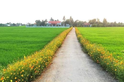 Văn mẫu lớp 3: Kể những điều em biết về nông thôn