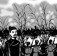 Khởi nghĩa Bãi Sậy